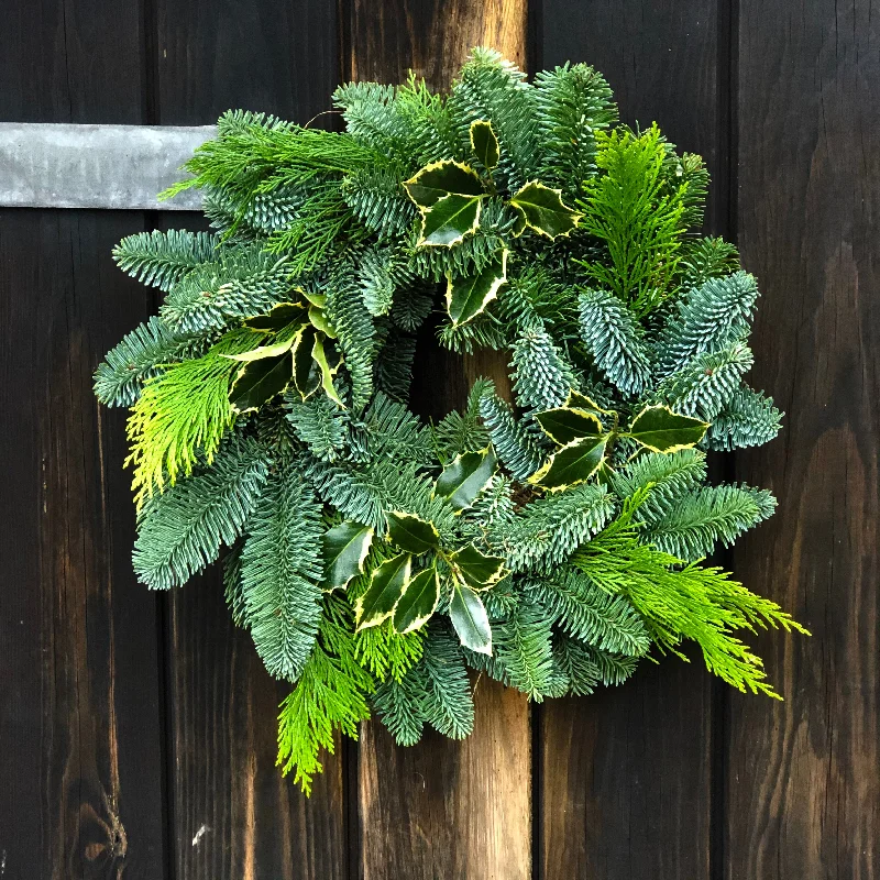 Small Nordman Fir Christmas Wreath